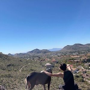 Meet your Posher, Sepanta